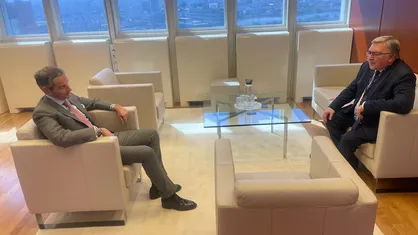رایزنی اولیانوف با گروسی درباره ایران
