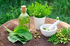 شرکت‌های دانش‌بنیان و خلاق ۵ هزار فرآورده گیاهی تولید کردند