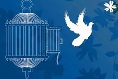 فرواخوان رضا هلالی برای آزادی زندانیان