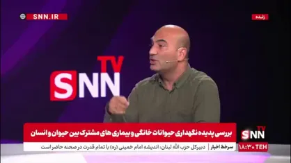 دریکوند: برخی سگ هایشان را حتی مهدکودک می&zwnj;برند در حالی که کودکان محرومی در این مملکت نیازمند حمایت هستند