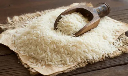 علتی گرانی برنج / سودجو&zwnj;ها بر طبل واردات می&zwnj;کوبند