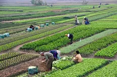 ۷ پیشنهاد اساسی برای بهبود طرح اصلاح قانون استفاده حداکثر از توان داخلی/ «خودتنظیمی»؛ وجه گمشده قانون