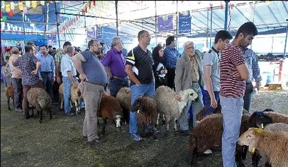 مکان&zwnj;های عرضه دام زنده در روز عید قربان اعلام شد