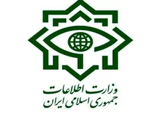کشف تعداد زیادی از کانتینرهای قاچاق توسط وزارت اطلاعات