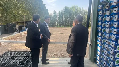 ساوجبلاغ پایلوت کشاورزی هوشمند می&zwnj;شود / از هوش مصنوعی تا کاهش مصرف آب