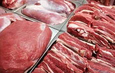 واردات گوشت گرم انجام شد/ تزریق روزانه ۶۰ تن گوشت وارداتی به بازار