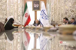 دیدار علی لاریجانی با نایب رئیس مجلس نیجریه