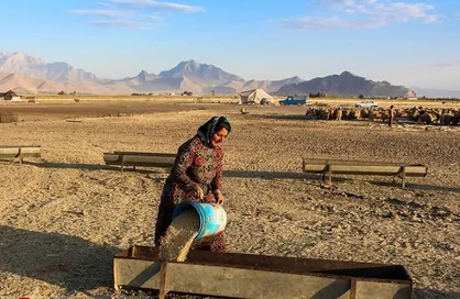 راه&zwnj;اندازی ۴۵۰ صندوق اعتبارات خرد زنان روستایی برای اشتغال&zwnj;زایی