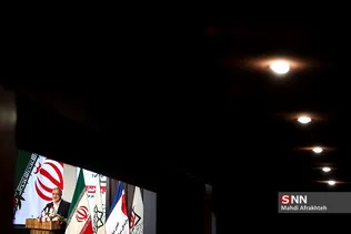 سیلذ