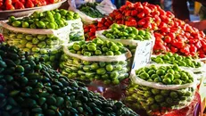 آغاز عرضه نوبرانه‌های بهاری در میادین و بازار‌های میوه و تره‌بار/ نوبرانه‌های بهاری را گران نخرید!