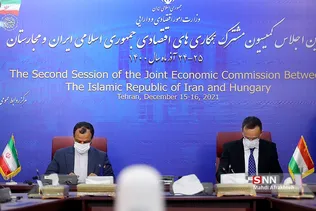 بیدذب