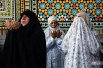فطر
