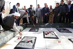 دانشگاه