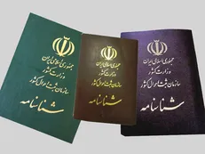 سازمان ثبت احوال| ۱۲ هزار و ۷۰۲ مورد تولد ایرانیان خارج از کشور ثبت شد