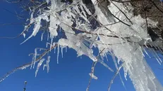 ذخیره سازی ۱۰۰۰ تن شن و نمک برای یخبندان احتمالی کرمانشاه