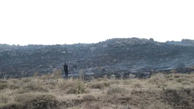 آتش‌سوزی مراتع تالاب نئور مهار شد