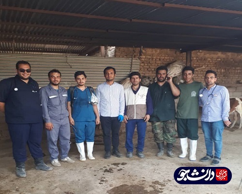 فعالیت جهادگران بسیج دانشجویی دانشگاه آزاد شوشتر در مناطق سیل زده شعیبیه