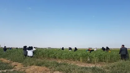 بیش از ۴ هکتار اراضی آموزشی و تحقیقات دانشگاه محقق اردبیلی به آبیاری تحت فشار مجهز شد