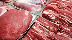 انباشتگی ۵۰ هزارتن گوشت قرمز روی دست دامداران