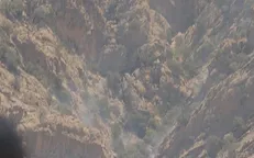 مهار آتش‌سوزی جنگل‌های اطراف روستای کریک در شهرستان دنا