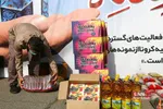 چهارمین مرحله کمک مومنانه سازمان بسیج مستضعفین