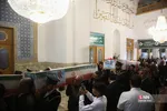 دبب