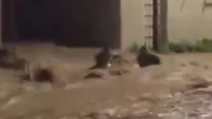 سیل شدید در تونس و جان باختن ۴ نفر