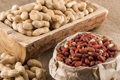 بررسی کارایی نانودارویی برای مقابله با حساسیت به بادام زمینی