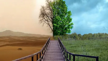 استارت آپ نانویی، بیابان را به زمین حاصل&zwnj;خیز تبدیل می&zwnj;کند!