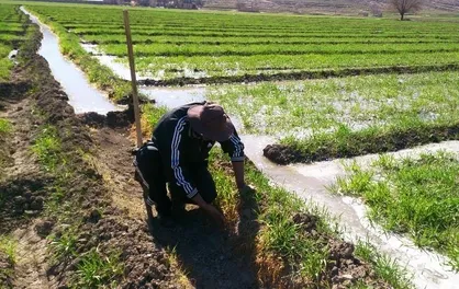 رونمایی از &laquo;الگوی کِشت&raquo; پس از ده&zwnj;ها سال معطلی
