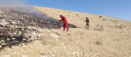 مهراب عبدی: عامل آتش سوزی مراتع حمزه خانی کاکان شناسایی و دستگیر شد