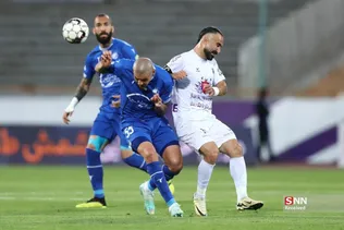 دبب