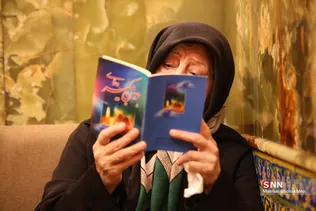 دبب