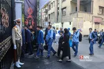 نجفی 