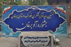 برگزاری جشنواره 