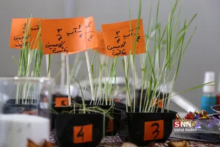 دانش آموز 