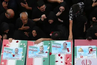 دبب