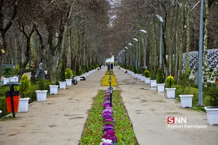 بهار