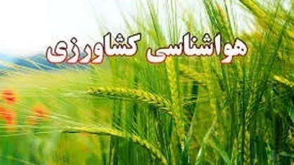 دامداران نسبت به محافظت از دام&zwnj;ها در برابر سرما اقدام کنند