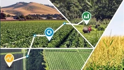حوزه کشاورزی و صنایع غذایی با ورود نوآوری و فناوری توسعه یافت