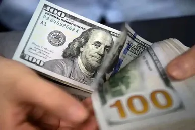 ۴ میلیارد یورو بدهی دولت به واردکنندگان/ وعده تعیین تکلیف قبل از پایان سال