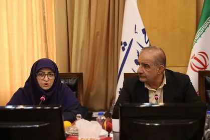 شینا انصاری: بسته سرمایه&zwnj;گذاری و توسعه کسب و کار&zwnj;های سبز در حال تدوین است