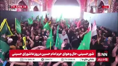 صحنه های پرشکوه از ورود دسته های عزاداری طویریج در کربلای معلی