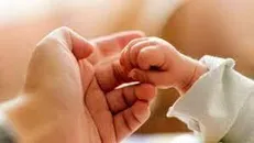 سال گذشته؛ ۱۸ هزار زوج هرمزگانی تسهیلات فرزندآوری دریافت کردند