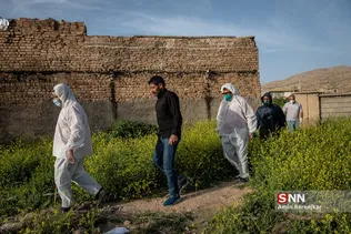 یلی
