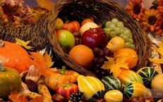 آشنایی با میوه‌های مفید پاییزی