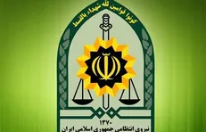 پلیس تهران: پرونده مقدماتی کشف حجاب افسانه بایگان و معتمدآریا تشکیل شد