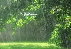 امروز؛ بارش در ۱۴ استان کشور/ کاهش دما در جنوب شرق