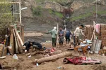 سیل5