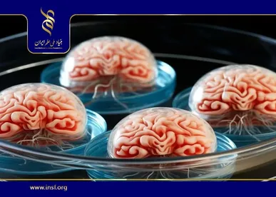 طراحی نانوذرات هوشمند برای درمان آلزایمر با فناوری میکروفلوئیدیک
